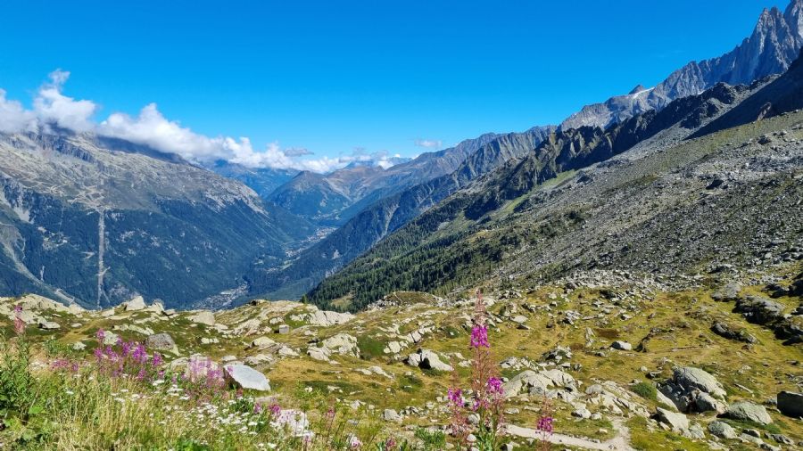 שאמוני והאלפים הצרפתיים